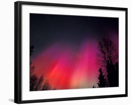 Curtains of Northern Lights above Fairbanks, Alaska, USA-Hugh Rose-Framed Photographic Print