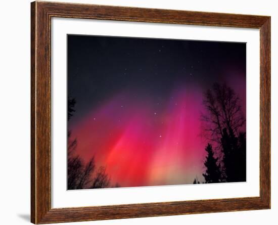 Curtains of Northern Lights above Fairbanks, Alaska, USA-Hugh Rose-Framed Photographic Print