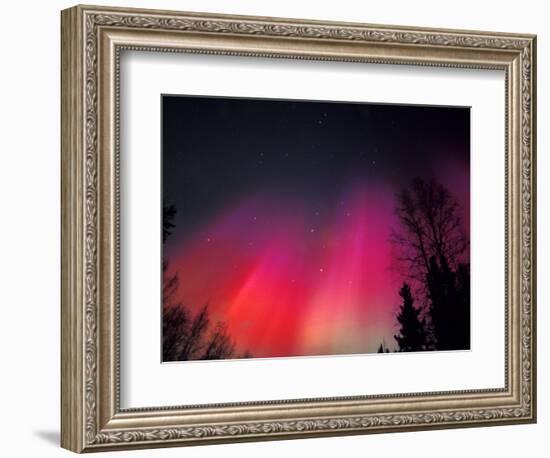 Curtains of Northern Lights above Fairbanks, Alaska, USA-Hugh Rose-Framed Photographic Print