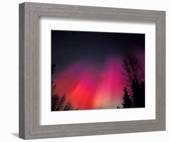 Curtains of Northern Lights above Fairbanks, Alaska, USA-Hugh Rose-Framed Photographic Print