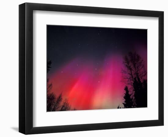 Curtains of Northern Lights above Fairbanks, Alaska, USA-Hugh Rose-Framed Photographic Print