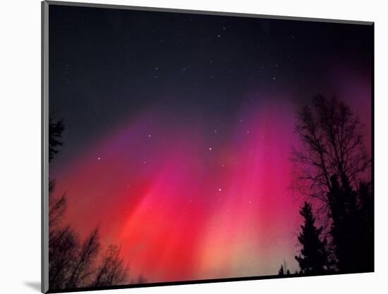 Curtains of Northern Lights above Fairbanks, Alaska, USA-Hugh Rose-Mounted Photographic Print