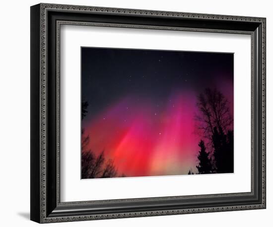 Curtains of Northern Lights above Fairbanks, Alaska, USA-Hugh Rose-Framed Photographic Print