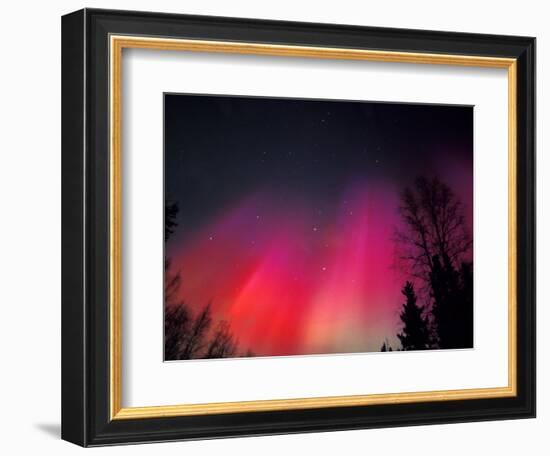 Curtains of Northern Lights above Fairbanks, Alaska, USA-Hugh Rose-Framed Photographic Print