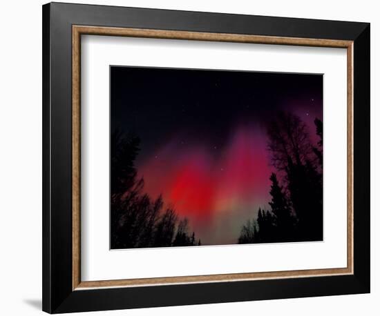 Curtains of Northern Lights above Fairbanks, Alaska, USA-Hugh Rose-Framed Photographic Print