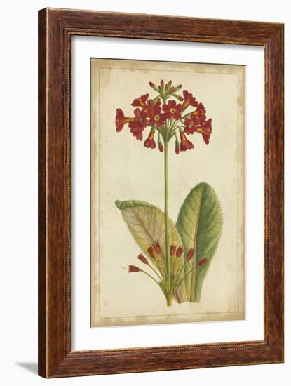 Curtis Blooms in Red I-Vision Studio-Framed Art Print