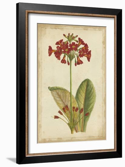 Curtis Blooms in Red I-Vision Studio-Framed Art Print