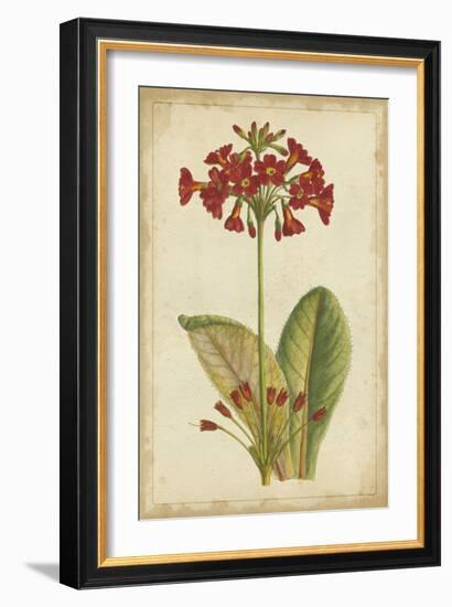 Curtis Blooms in Red I-Vision Studio-Framed Art Print