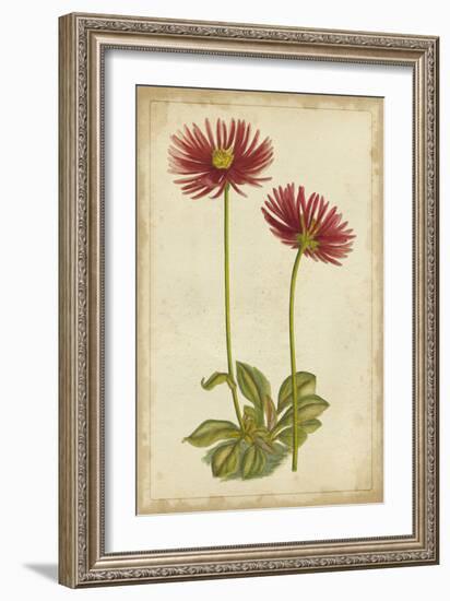 Curtis Blooms in Red II-Vision Studio-Framed Premium Giclee Print