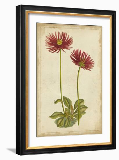 Curtis Blooms in Red II-Vision Studio-Framed Premium Giclee Print