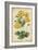 Curtis Blooms in Yellow I-Vision Studio-Framed Art Print