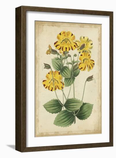 Curtis Blooms in Yellow I-Vision Studio-Framed Art Print