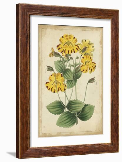 Curtis Blooms in Yellow I-Vision Studio-Framed Art Print