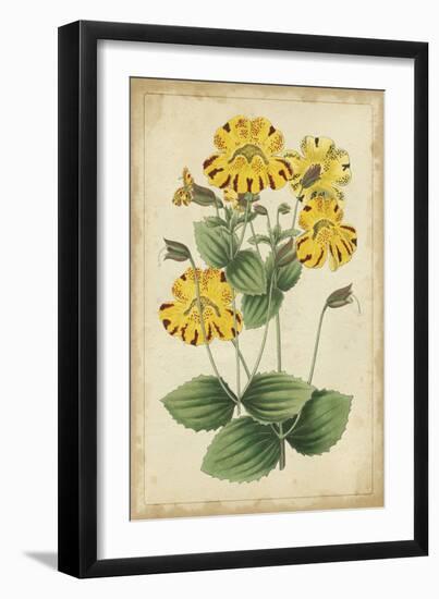 Curtis Blooms in Yellow I-Vision Studio-Framed Art Print