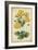 Curtis Blooms in Yellow I-Vision Studio-Framed Art Print