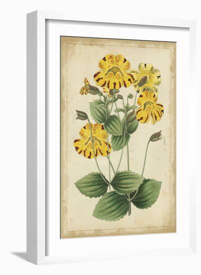 Curtis Blooms in Yellow I-Vision Studio-Framed Art Print