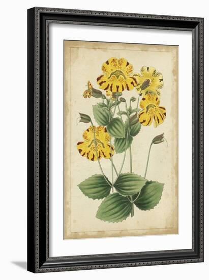 Curtis Blooms in Yellow I-Vision Studio-Framed Art Print