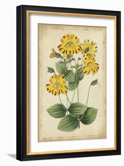 Curtis Blooms in Yellow I-Vision Studio-Framed Art Print