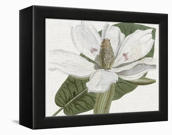 Curtis Magnolia II-Curtis-Framed Stretched Canvas