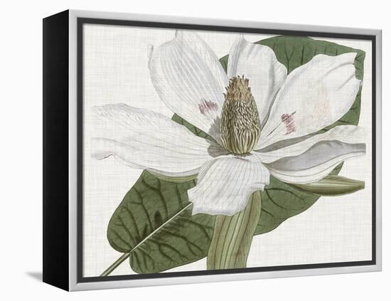 Curtis Magnolia II-Curtis-Framed Stretched Canvas