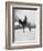 Curtis: Scout, 1908-Edward S Curtis-Framed Giclee Print