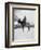 Curtis: Scout, 1908-Edward S Curtis-Framed Giclee Print