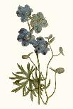 Soft Blue Botanicals V-Curtis-Art Print