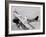 Curtiss Jenny-null-Framed Art Print