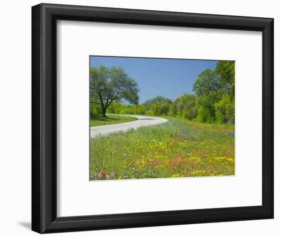 Curve in Roadway with Wildflowers Near Gonzales, Texas, USA-Darrell Gulin-Framed Photographic Print