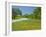 Curve in Roadway with Wildflowers Near Gonzales, Texas, USA-Darrell Gulin-Framed Photographic Print