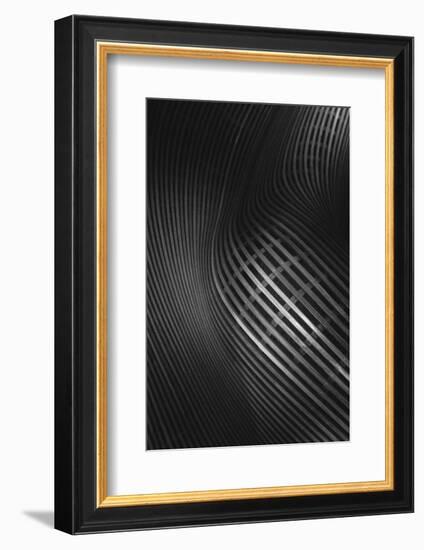 Curved Lines-Olavo Azevedo-Framed Photographic Print