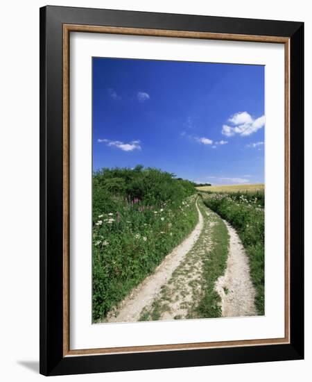 Curved Path Through Countryside, Old Winchester Hill, Hampshire, England, United Kingdom-Jean Brooks-Framed Photographic Print