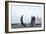 Curved Sculpture-Sharon Wish-Framed Photographic Print