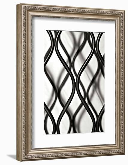 Curves I-Tammy Putman-Framed Photographic Print