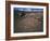 Curvilinear Abstract-Style Petroglyphs and Eastern Sierra Mountains, Bishop, California, Usa-Dennis Flaherty-Framed Photographic Print