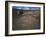 Curvilinear Abstract-Style Petroglyphs and Eastern Sierra Mountains, Bishop, California, Usa-Dennis Flaherty-Framed Photographic Print