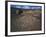 Curvilinear Abstract-Style Petroglyphs and Eastern Sierra Mountains, Bishop, California, Usa-Dennis Flaherty-Framed Photographic Print