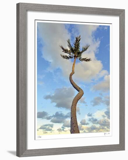 Curving Palm-John Gynell-Framed Giclee Print