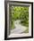 Curvy Roadway under Spring Green Canopy at Brown County State Park in Indiana, Usa-Chuck Haney-Framed Photographic Print