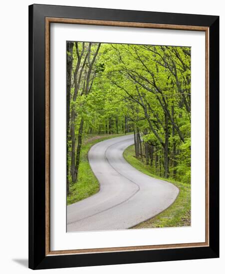 Curvy Roadway under Spring Green Canopy at Brown County State Park in Indiana, Usa-Chuck Haney-Framed Photographic Print