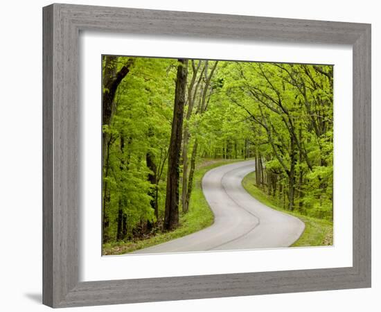 Curvy Roadway under Spring Green Canopy at Brown County State Park in Indiana, Usa-Chuck Haney-Framed Photographic Print