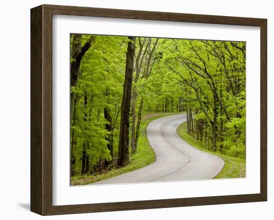 Curvy Roadway under Spring Green Canopy at Brown County State Park in Indiana, Usa-Chuck Haney-Framed Photographic Print