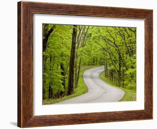 Curvy Roadway under Spring Green Canopy at Brown County State Park in Indiana, Usa-Chuck Haney-Framed Photographic Print