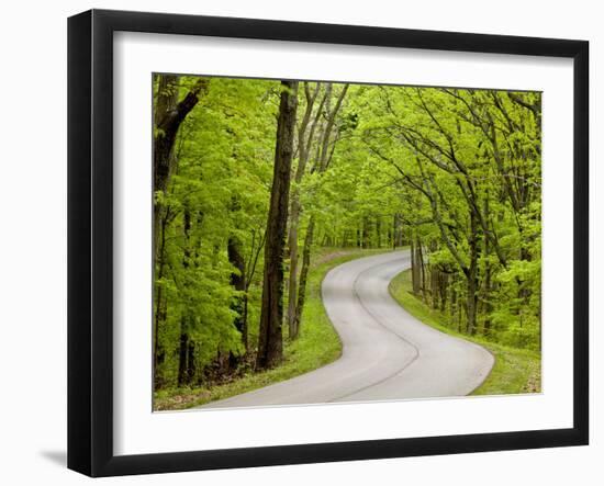 Curvy Roadway under Spring Green Canopy at Brown County State Park in Indiana, Usa-Chuck Haney-Framed Photographic Print