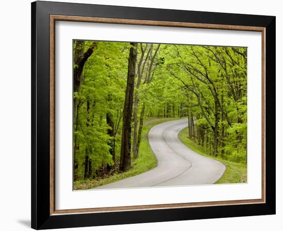 Curvy Roadway under Spring Green Canopy at Brown County State Park in Indiana, Usa-Chuck Haney-Framed Photographic Print