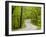 Curvy Roadway under Spring Green Canopy at Brown County State Park in Indiana, Usa-Chuck Haney-Framed Photographic Print