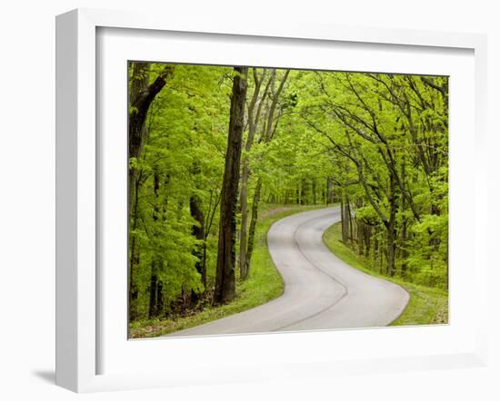 Curvy Roadway under Spring Green Canopy at Brown County State Park in Indiana, Usa-Chuck Haney-Framed Photographic Print
