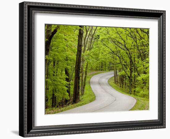 Curvy Roadway under Spring Green Canopy at Brown County State Park in Indiana, Usa-Chuck Haney-Framed Photographic Print