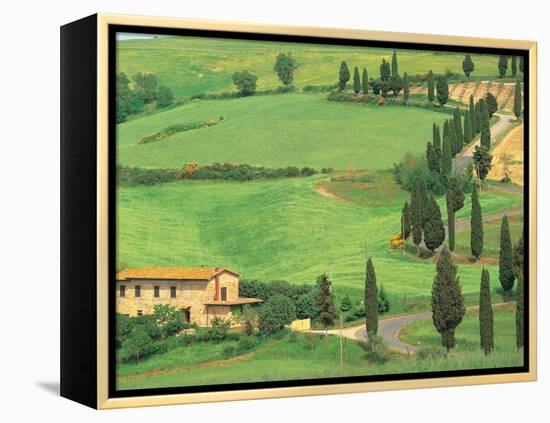 Curvy Tuscan Road, Tuscany, Italy-Walter Bibikow-Framed Premier Image Canvas