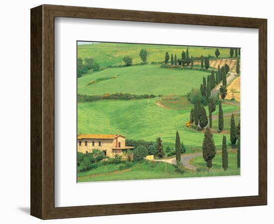 Curvy Tuscan Road, Tuscany, Italy-Walter Bibikow-Framed Photographic Print